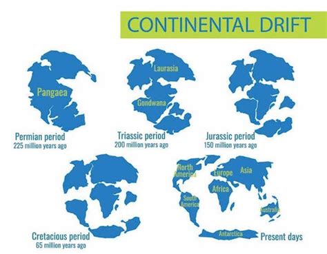 How Do The Continental Drift And Seafloor Spreading Support Theory Of Plate Tectonics | Floor Roma