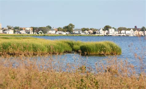 66 Square Feet (Plus): Jamaica Bay Wildlife Refuge