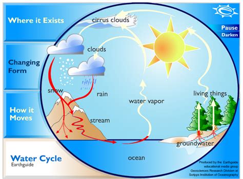 Animated Water Cycle Diagram - Earthguide - Outdoor School - Multnomah ...