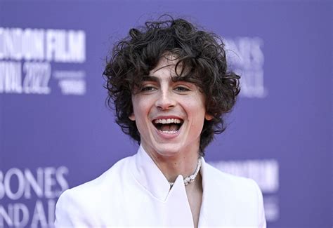 Timothée Chalamet Makes a Chic Red Carpet Arrival in All White Suit ...