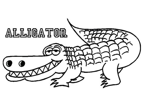 Alligator Line Drawing at GetDrawings | Free download