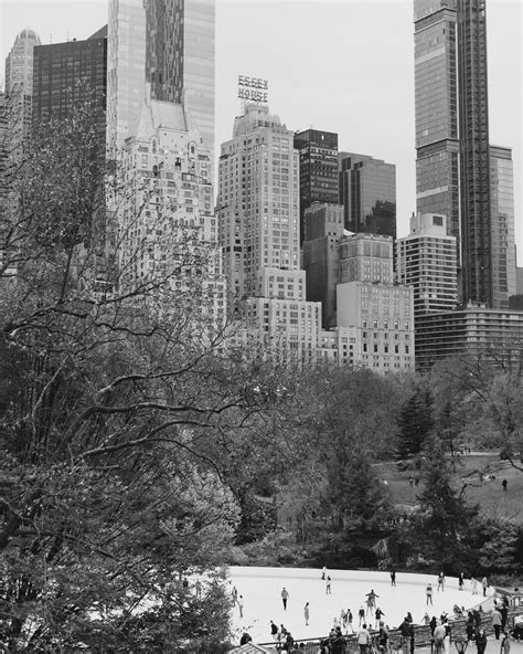 Wollman Rink // NYC Photography, Winter in New York City, NYC Wall Art ...