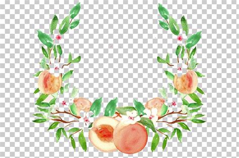 Peach Watercolor Painting Drawing Fruit PNG, Clipart, Branch, Clip Art, Color, Creative Market ...