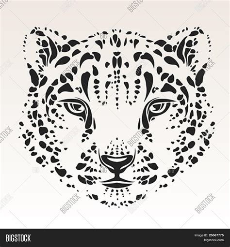 Snow Leopard Head Vector & Photo (Free Trial) | Bigstock