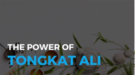 The Power of Tongkat Ali for Men & Women – Orbit Nutrition