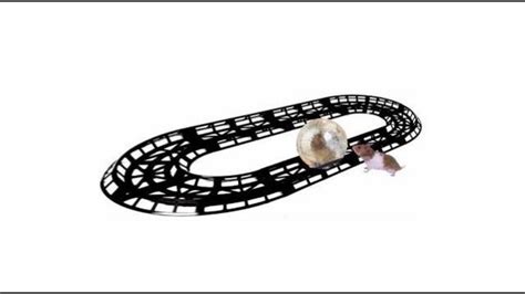 Hamtrack (Hamster Race Track) Pet Exercise Hamster Toy | Hamster toys, Hamster, Race track