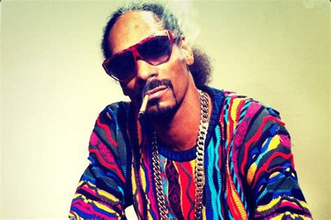 snoop lion | Stash Everything