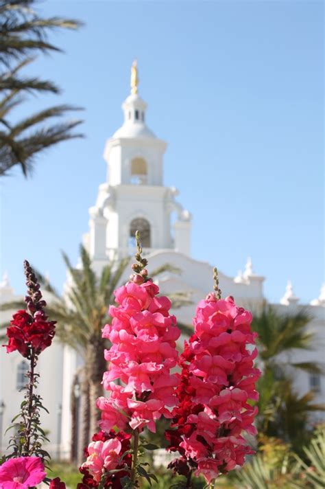 Spring. Mormon Temple. SUD LDS | Lds temples, Mormon temples, Mormon temple