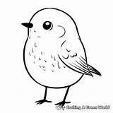 Robin Coloring Pages  Free & Printable sketch template