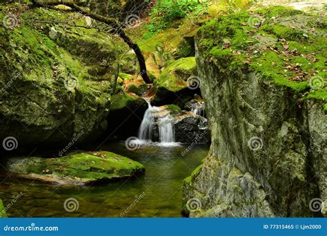 Mountain spring water stock image. Image of hydro, national - 77315465