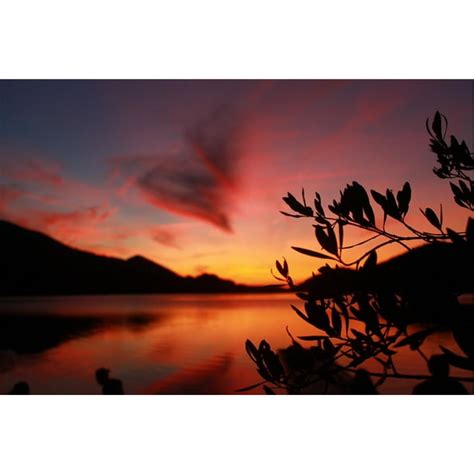 Lake Silhouette Sunset Water Sky Dusk-20 Inch By 30 Inch Laminated ...