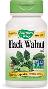 Black Walnut Hulls – Padek Healthcare Pharmacy