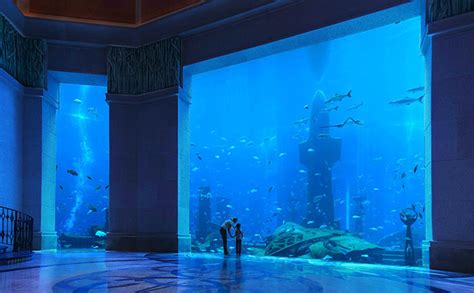 伝説を再現する超豪華ホテル 「アトランティス・ザ・パーム（Atlantis The Palm）」 | 新婚旅行・ハネムーン予約 ...