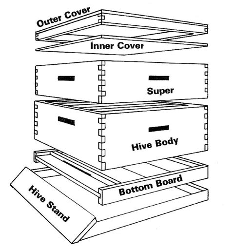 Bee set up | Bee keeping, Beekeeping for beginners, Bee hive plans