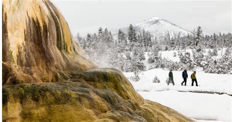 The Perfect Gardiner and Northern Yellowstone Three-Day Winter Itinerary - Gardiner, Montana