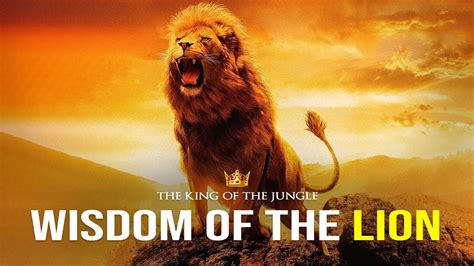 Wisdom Of The Lion - Powerful Motivational Video - YouTube