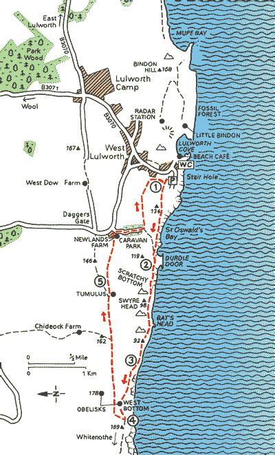 Lulworth to Durdle Door - Walks - The AA