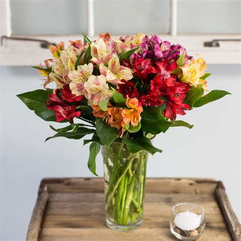 Mixed Alstroemeria Bouquet in Cambridge, MA | Coady Florist