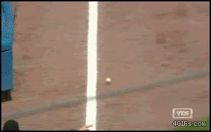 Fail baseball throw GIF - Find on GIFER