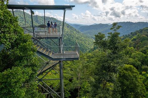 Mamu Tropical Skywalk - Business Events Cairns