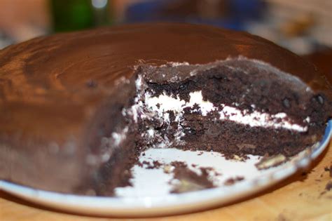 The best ever lactose-free chocolate cake - Suzy Turner