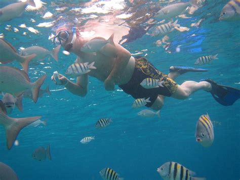 THE 10 BEST Things to Do in Cozumel with Kids (Updated 2023)