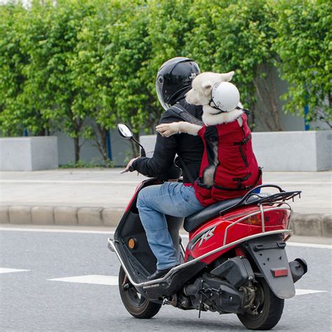 Dog Backpack Carrier For Motorcycles | IUCN Water