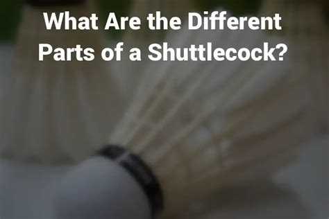 What Are the Different Parts of a Shuttlecock? - The Badminton Guide