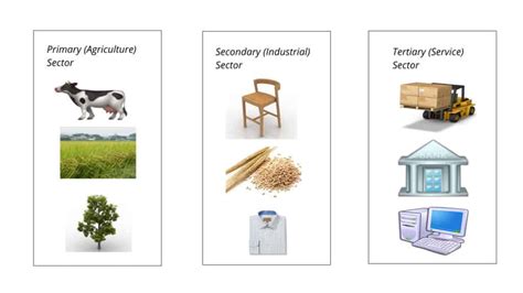 Difference Between Primary, Secondary and Tertiary Sector (Class 10)