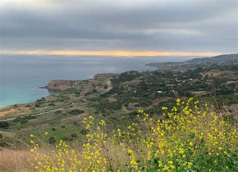 Portuguese Bend Reserve: Hike South Bay