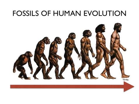 Evolution and Natural Selection | Teaching Resources