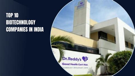 Top 10 Biotechnology Companies In India - Techyv.com