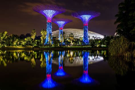 Wallpaper Singapore Gardens by the Bay Nature Pond Reflection Night night time