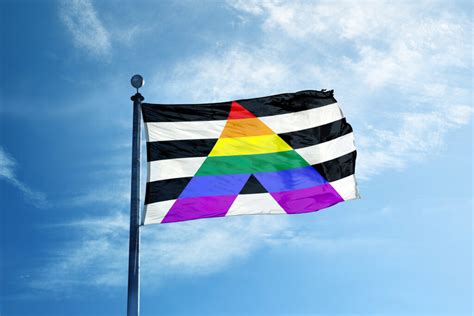 The Ally Pride Flag