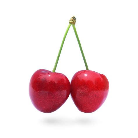 Cherry - Wikipedia