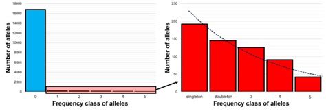 The ‘other’ allele frequency: applications of the site frequency ...