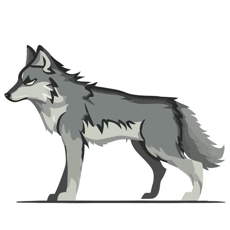 White Wolf clipart transparent background 24029753 PNG