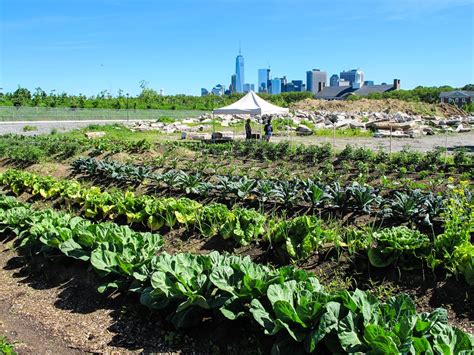 97th Street Greenmarket | GrowNYC | Natural landmarks, Union square ...