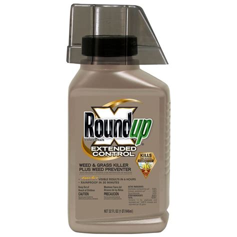 Roundup Concentrate Extended Control Weed & Grass Killer | Roundup