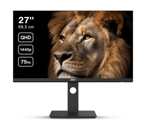 Dahua LM27-P301A - 27 Inch QHD IPS Monitor - 75 Hz - USB-C - Brandpreventiewinkel