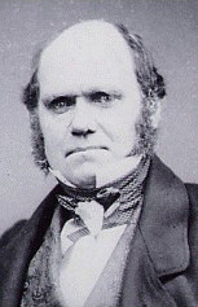 Charles Darwin - New World Encyclopedia