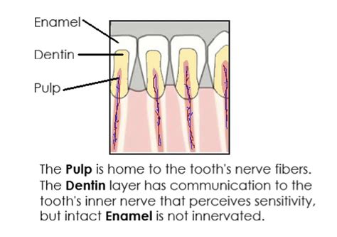 Interproximal Reduction (IPR) - High Line Orthodontics