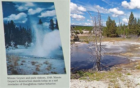 Minute Geyser, Yellowstone National Park - Photos Then and Now on ...