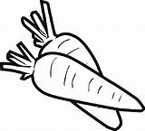 Carrot  Black And White Outline Coloring Page Free Home sketch template