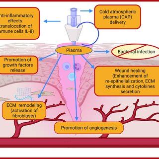 Representative list of the cold atmospheric plasma treatment-based ...