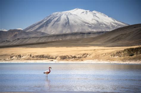 Ojos del Salado– Chile, South America 6893m / 22,615ft. - Madison ...