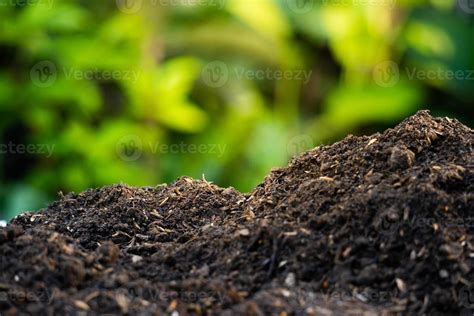 fertile soil background for environmental theme 12131003 Stock Photo at ...