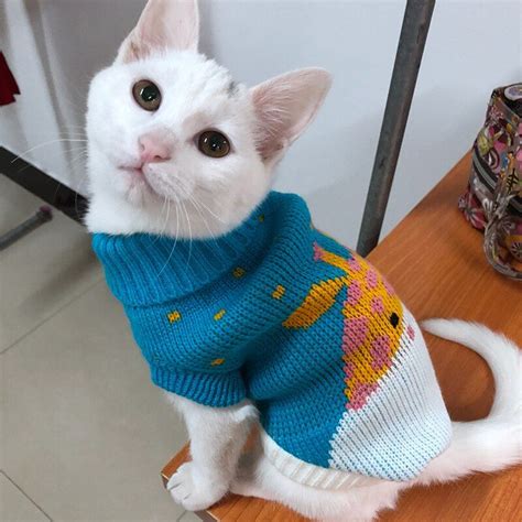 Cute Cat Sweater Pullover Winter Warm Pet Clothes for Cats Kedi Kitten Sweatshirt Cat Costume ...