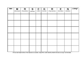 MRS C GREN worksheet by Georgia Kerton | Teachers Pay Teachers