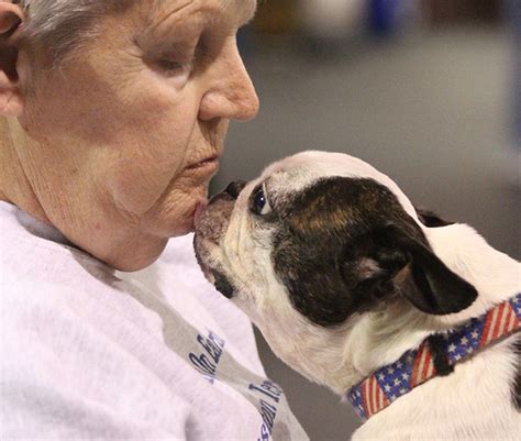 Classes – Companion Dog Training Club of Flint